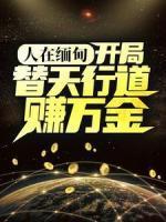 人在缅甸，开局替天行道赚万金
