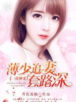 一夜缠宠，薄少追妻套路深