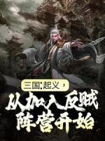 三国：起义，从加入反贼阵营开始
