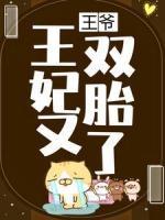 王爷，王妃又双胎了！