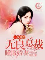 一夜贪欢：无良总裁睡服娇妻