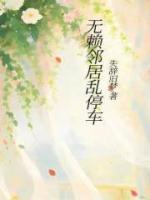 无赖邻居乱停车