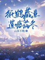纸鹤藏意，遗憾满冬