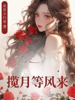 揽月等风来