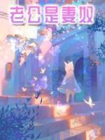 老公是妻奴