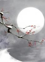 梨花落地泪阑干