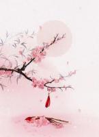 重生拒嫁：将军夫人不回头