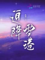 迫降雪港