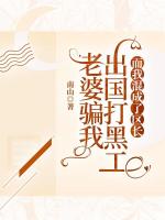 老婆骗我出国打黑工，而我混成了区长