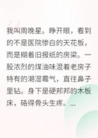 重生八零，我要当万元户