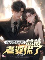 我离婚要出国，总裁老婆慌了