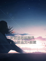 梦里相思终随风：小说全文+后续