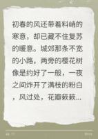 我的妻子是哑巴