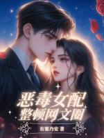 恶毒女配整顿网文圈