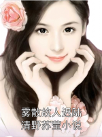 雾散故人迟陆清野苏莹小说