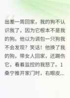 男友出轨调包我的狗，我让他社死