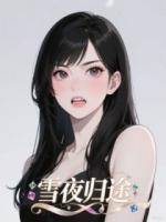 雪夜归途
