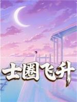 士圈飞升