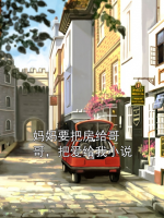妈妈要把房给哥哥，把爱给我小说