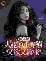 当替身？不，我是掀棋局的小野猫