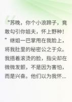 七零之新婚夜：我笑他，生三胎