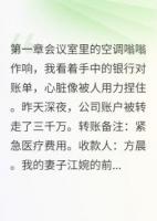 老公转走三千万那一夜