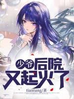 少爷！后院又起火了！