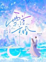 雪落京婚