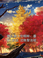 烟火燃入你眼眸：番外+完结,沈晚黎池砚