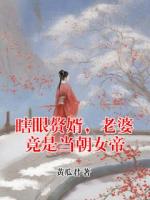 瞎眼赘婿,老婆竟是当朝女帝