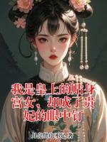 我是皇上的贴身宫女，却成了贵妃的眼中钉
