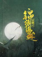 穿越之锦绣医途