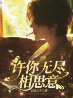 许你无尽相思意