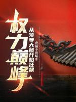 权力巅峰：从领导大秘开始狂飙