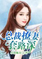 总裁撩妻套路深
