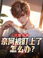 只想低调，奈何被盯上了怎么办？