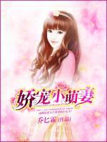 娇宠小萌妻