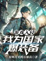 游戏入侵，我为国家爆装备