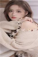 从此白霜落于春