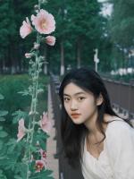 陌上花开人不归