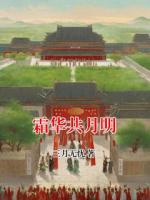 霜华共月明