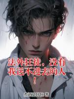 法外狂徒，没有我送不进去的人！