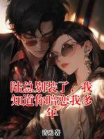 陆总别装了，我知道你暗恋我多年