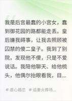 装傻的新帝，碰上真笨的我后，没辙了