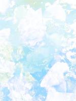 总裁的老公，眼里不揉沙子