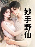 妙手野仙