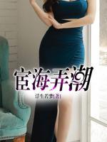 宦海弄潮